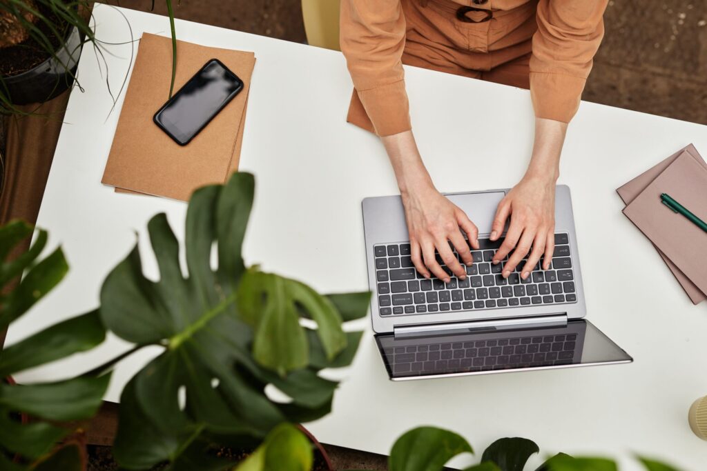 Someone typing on a laptop with a plant in the foreground.